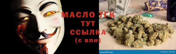 крисы Кулебаки