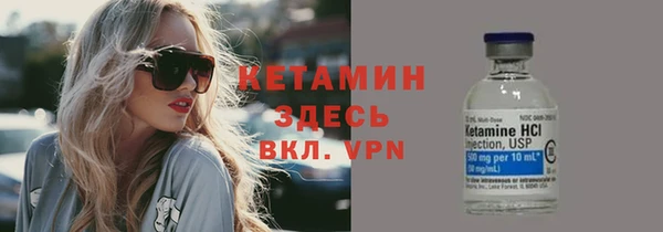 крисы Кулебаки