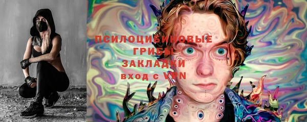 шишки Кукмор