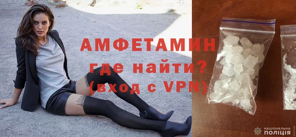 крисы Кулебаки