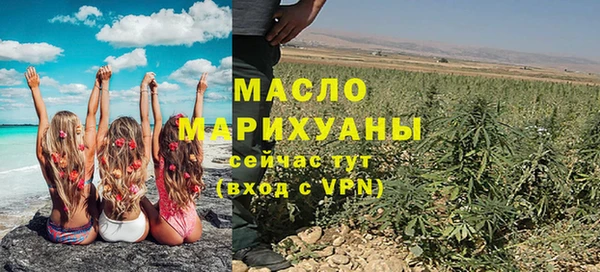 крисы Кулебаки