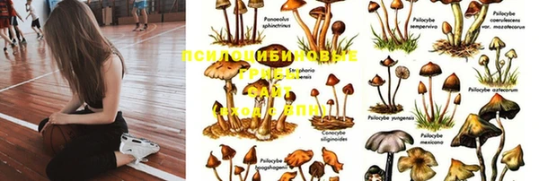 кокаин перу Ладушкин