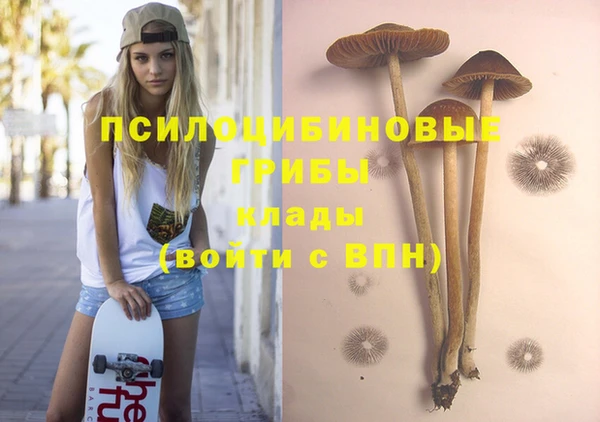 шишки Кукмор