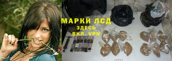 шишки Кукмор