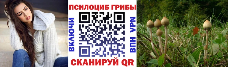 Псилоцибиновые грибы мухоморы  где купить наркоту  Островной 